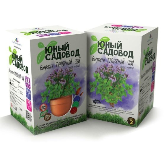 набор Юный садовод «Вырасти травяной чай»